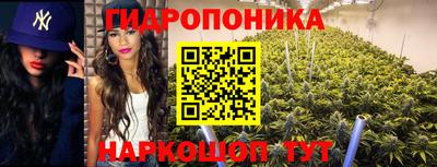 герыч Гатчина