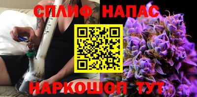 a pvp Гагарин