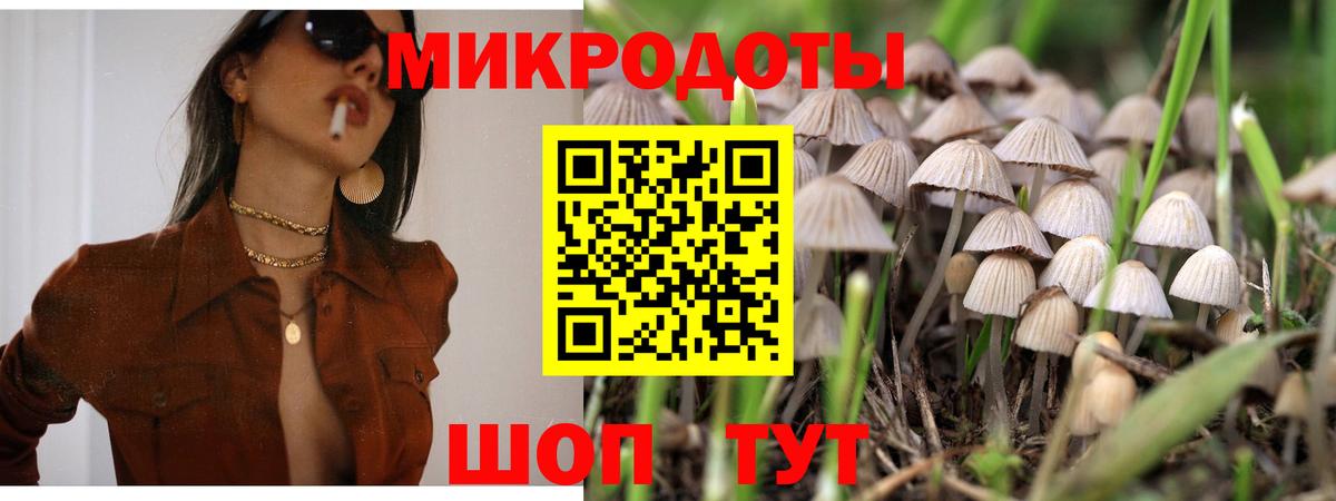 Галлюциногенные грибы Magic Shrooms Торжок