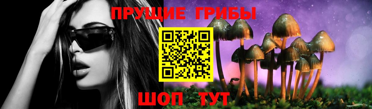 Галлюциногенные грибы Psilocybine cubensis  Вход с VPN  Торжок 